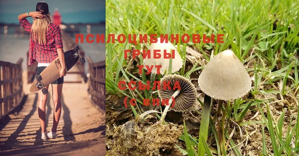 мефедрон Зеленодольск