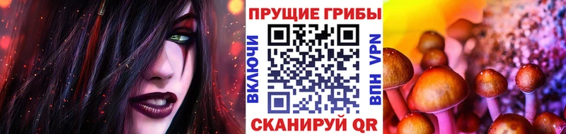 Псилоцибиновые грибы MAGIC MUSHROOMS  Купить где  Геленджик 